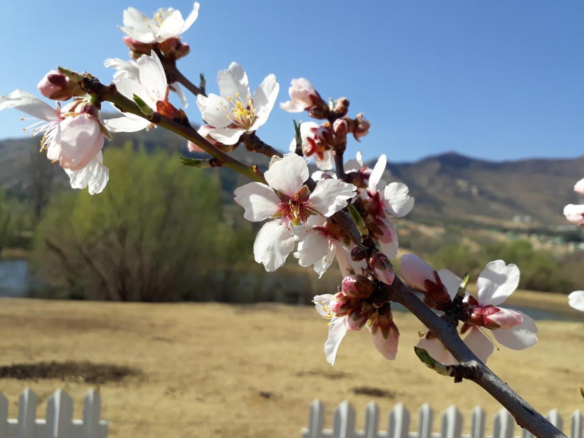 Lake Clarens Guest House エクステリア 写真