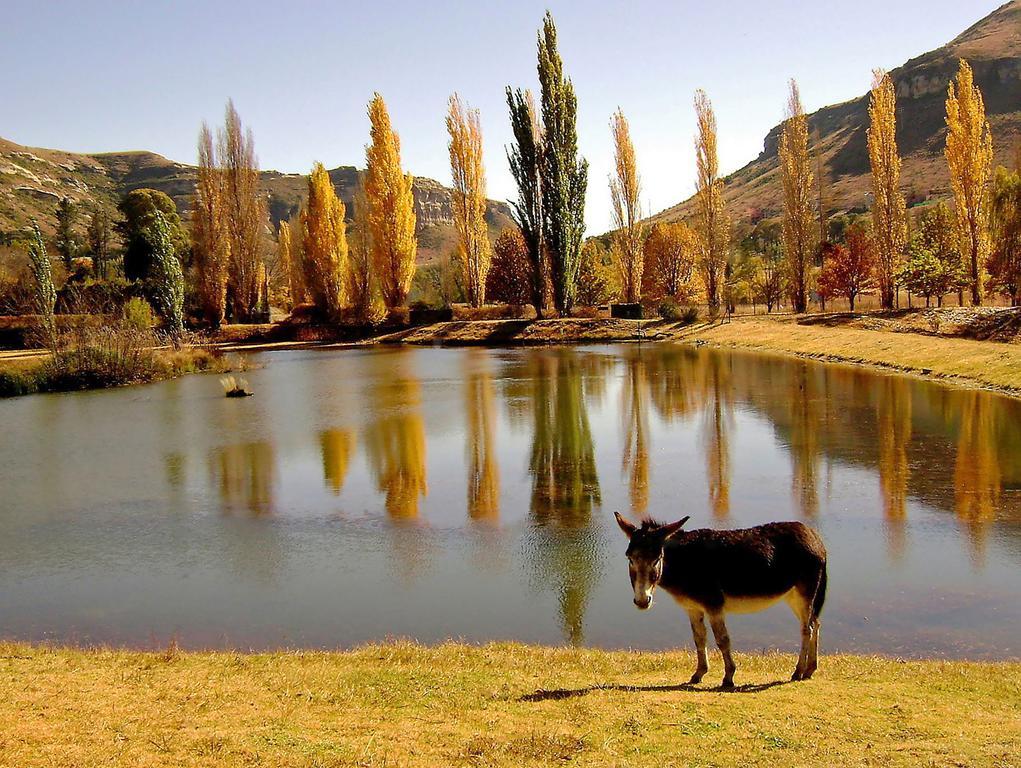 Lake Clarens Guest House エクステリア 写真