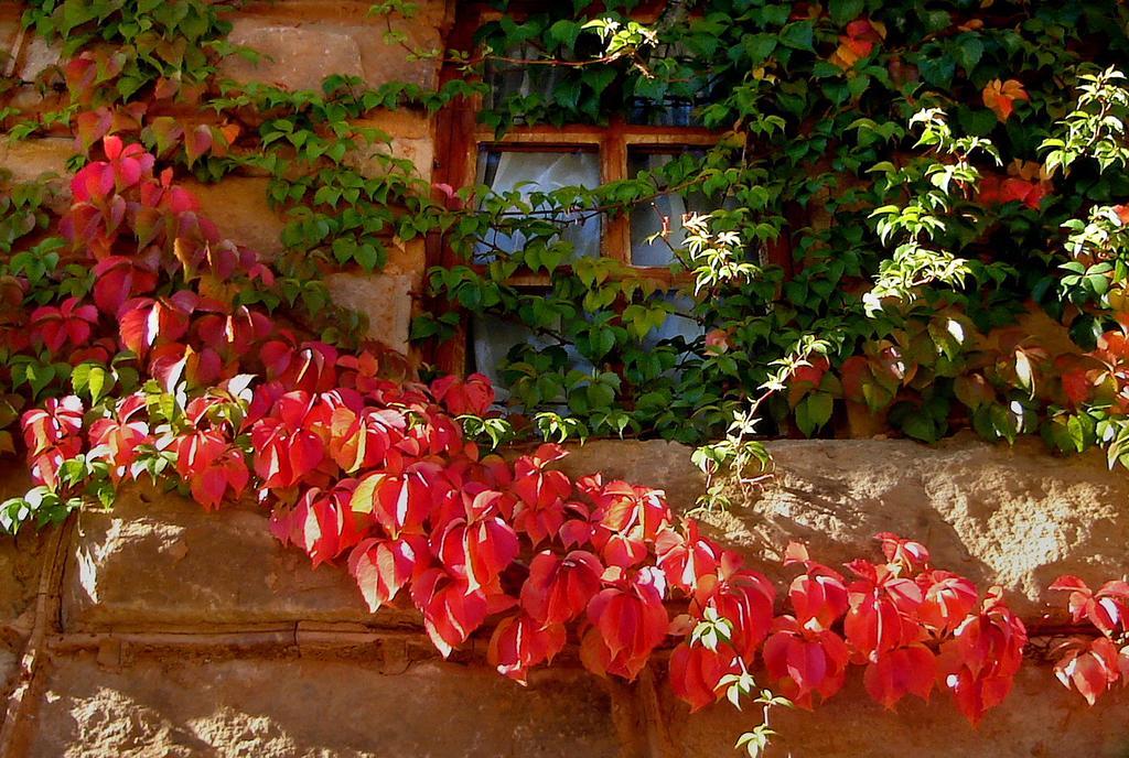 Lake Clarens Guest House エクステリア 写真