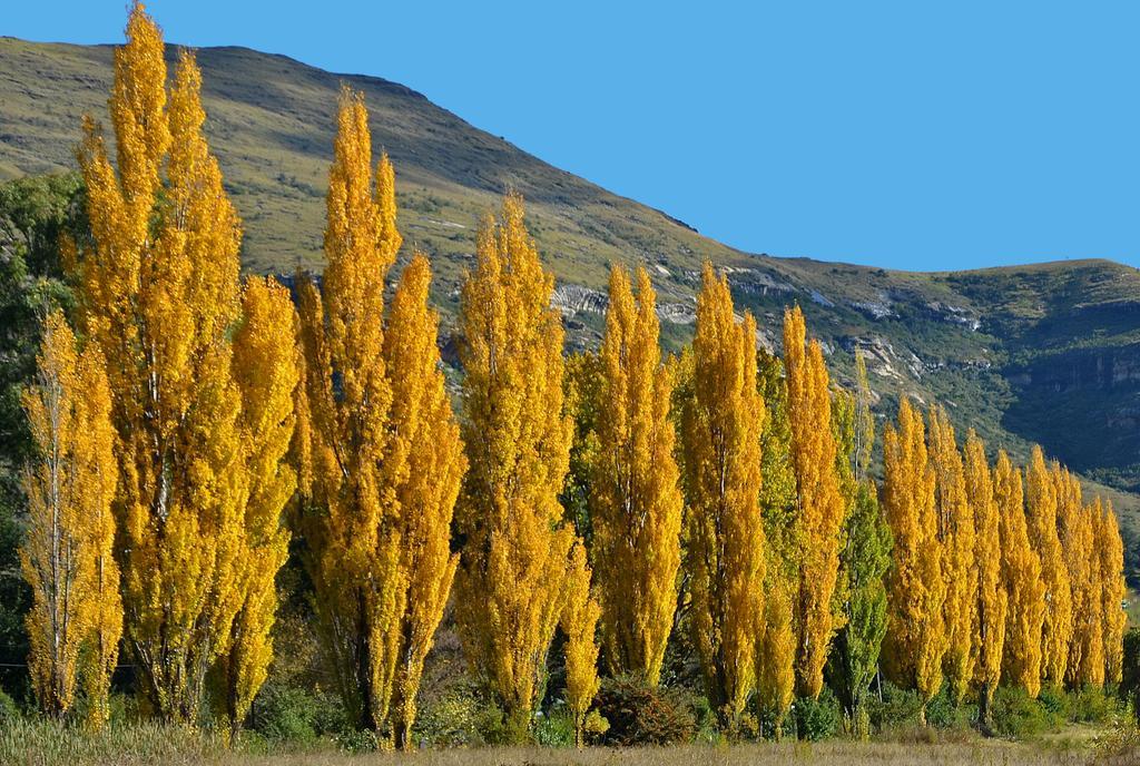 Lake Clarens Guest House エクステリア 写真