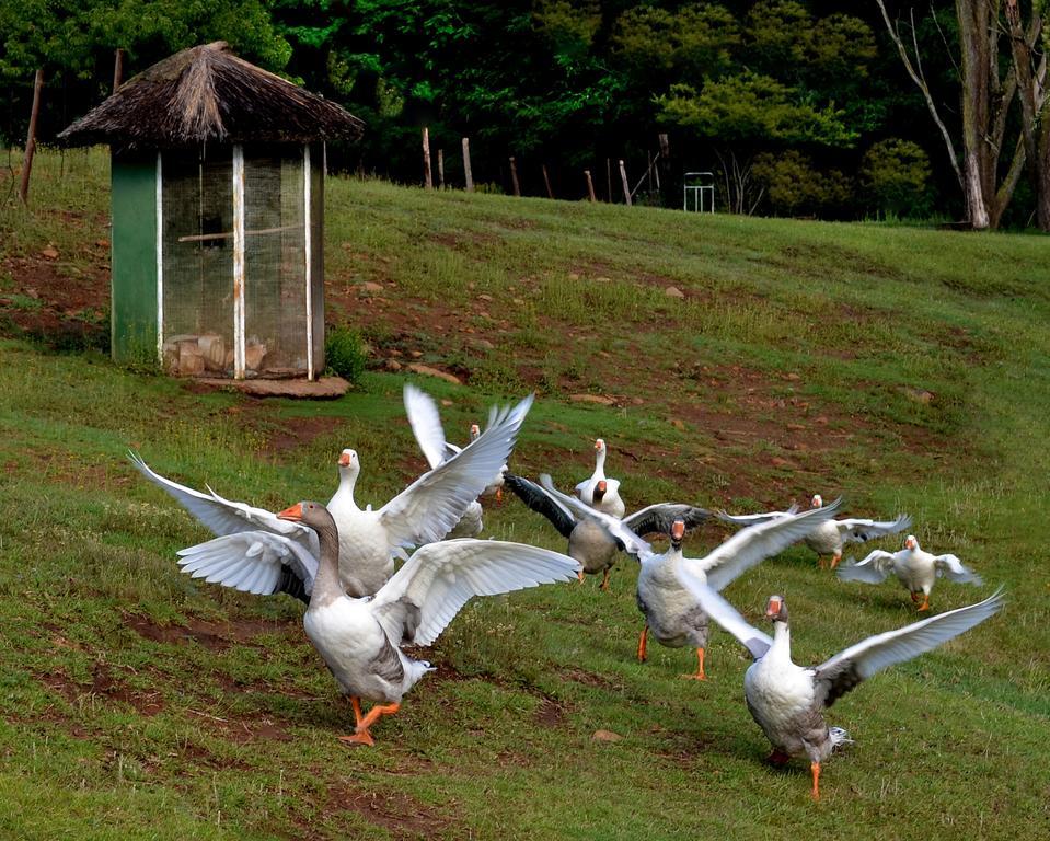 Lake Clarens Guest House エクステリア 写真