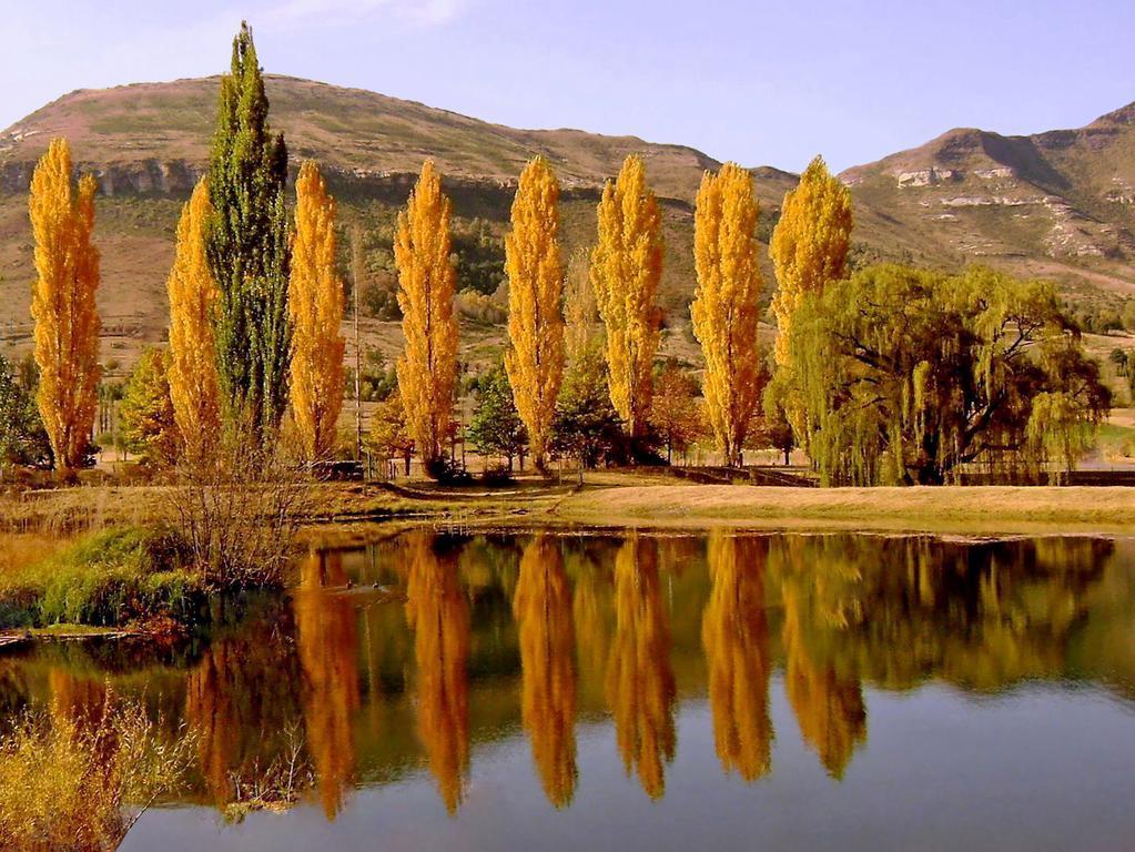 Lake Clarens Guest House 部屋 写真
